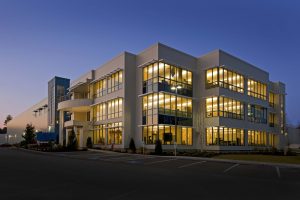 Lindt, Lindt Office, Bruce Hamilton Architects